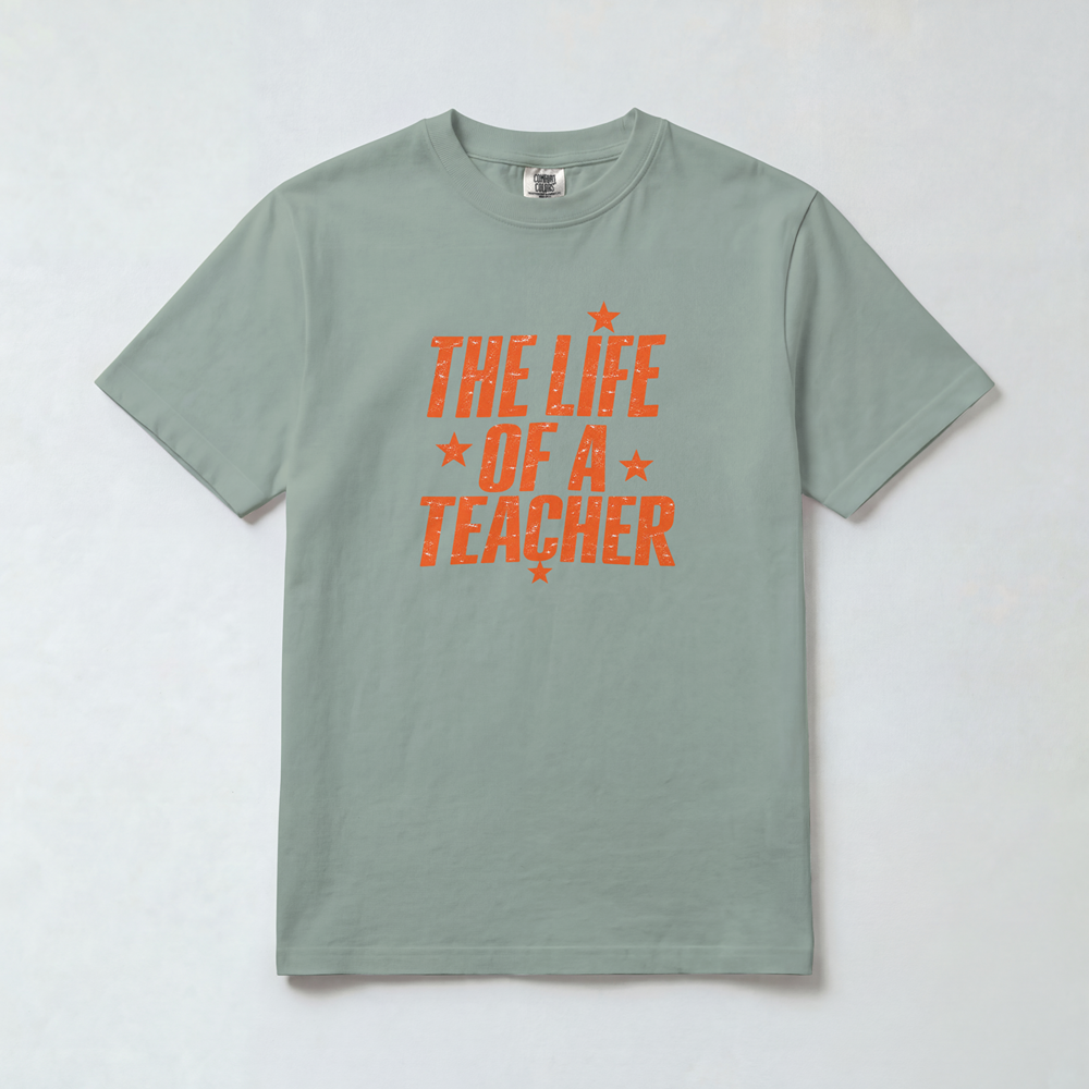 Life of a Teacher