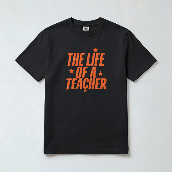 Life of a Teacher