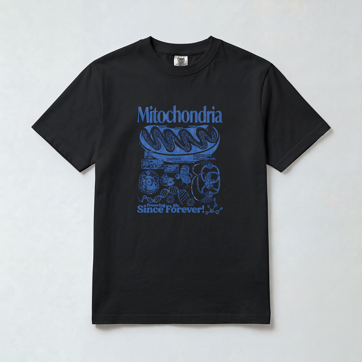 Mitochondria