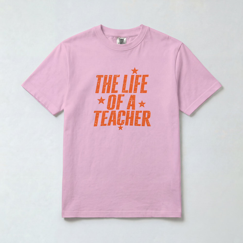 Life of a Teacher