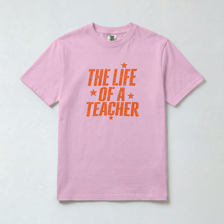 Life of a Teacher