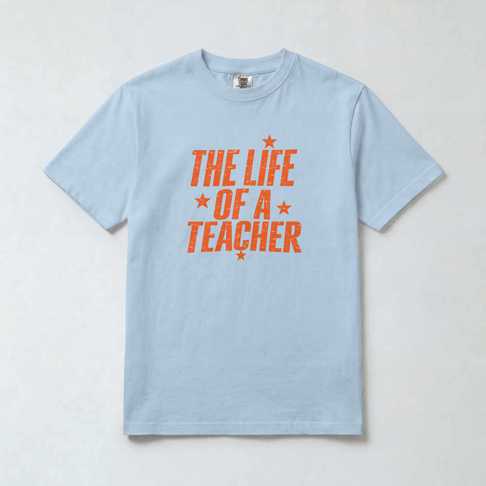 Life of a Teacher