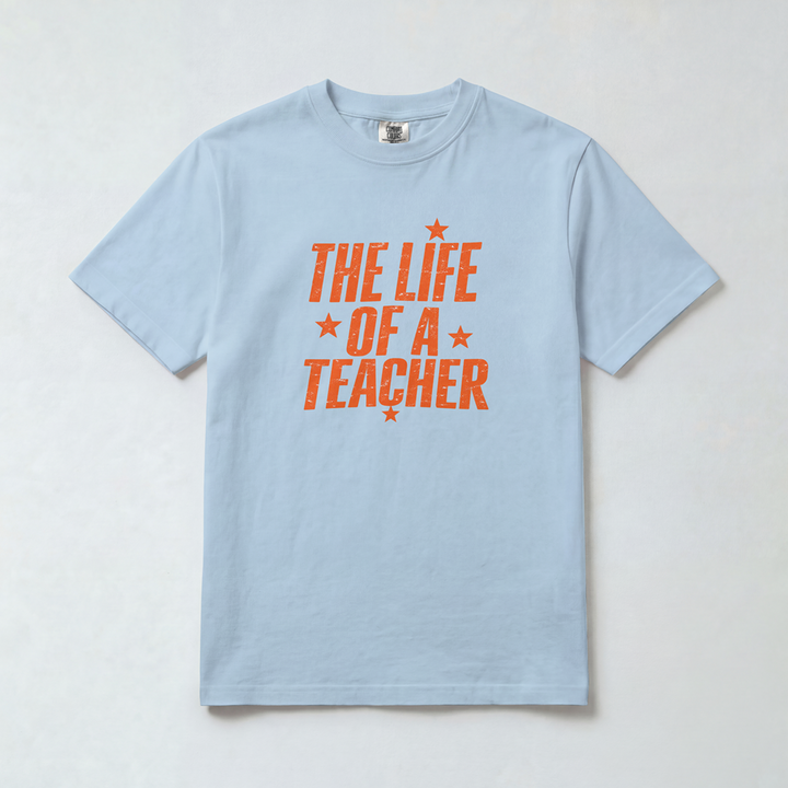 Life of a Teacher