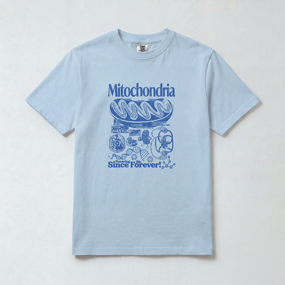 Mitochondria