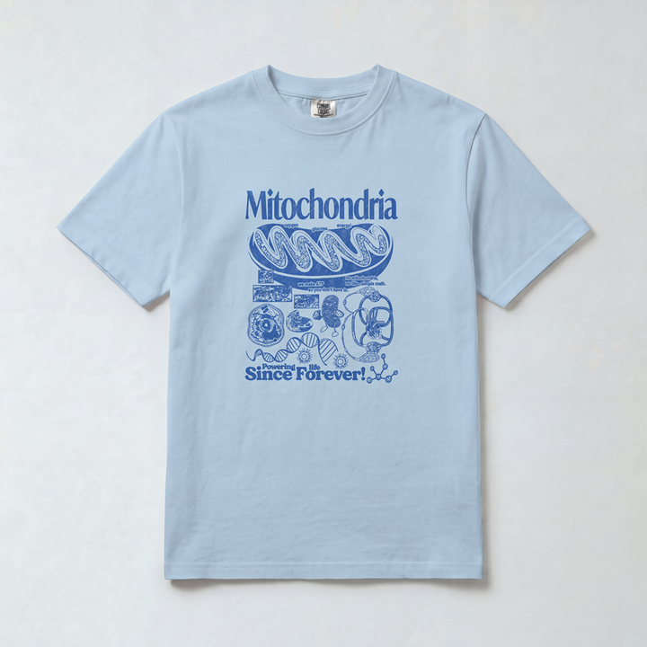 Mitochondria