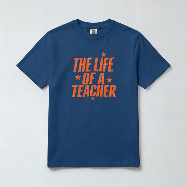 Life of a Teacher