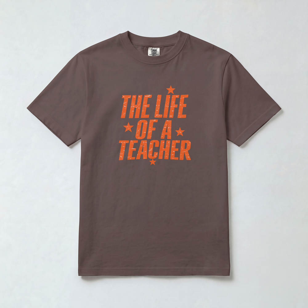 Life of a Teacher