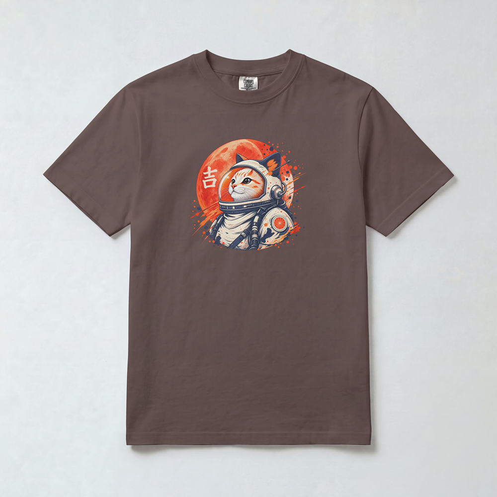 Cosmic Catstronaut