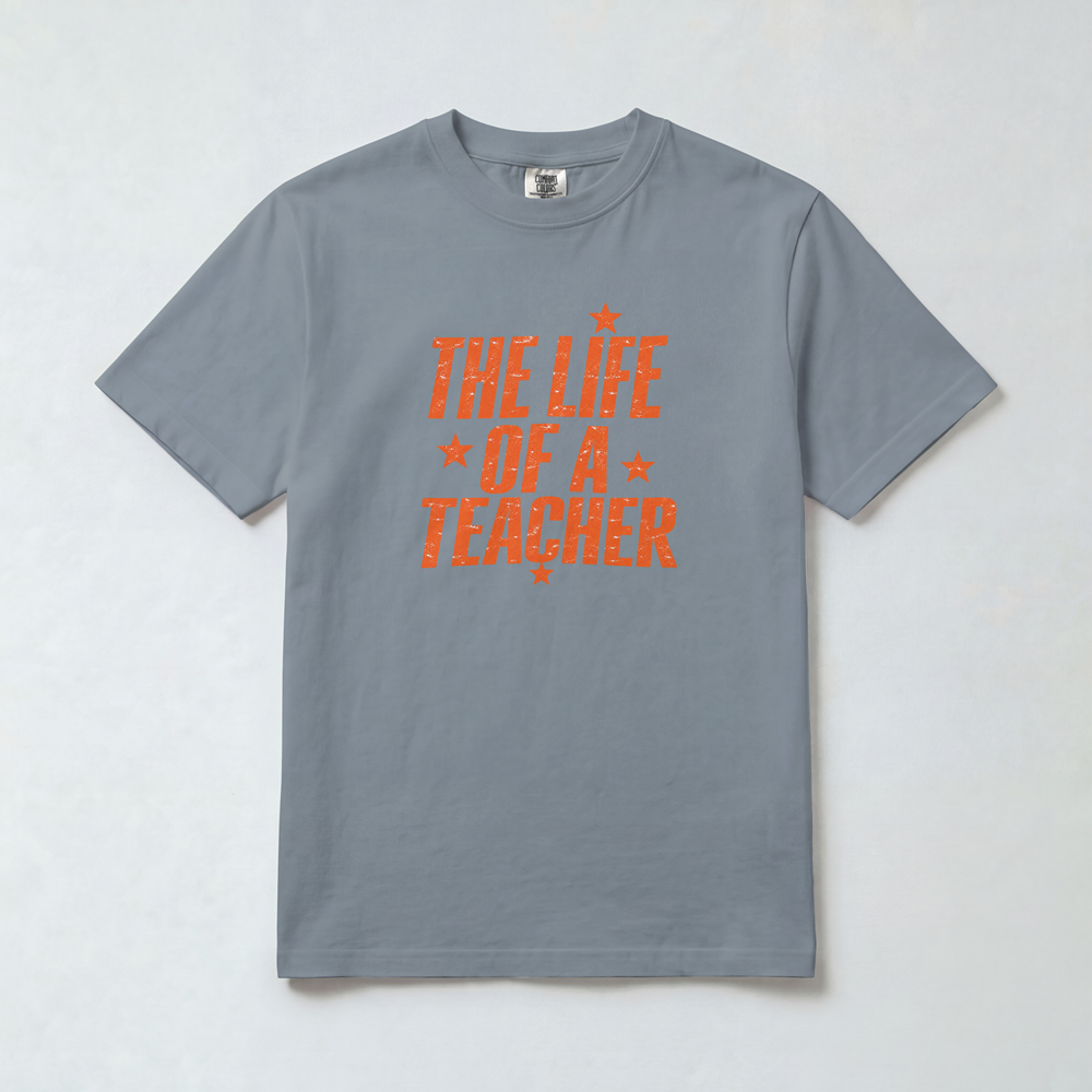 Life of a Teacher