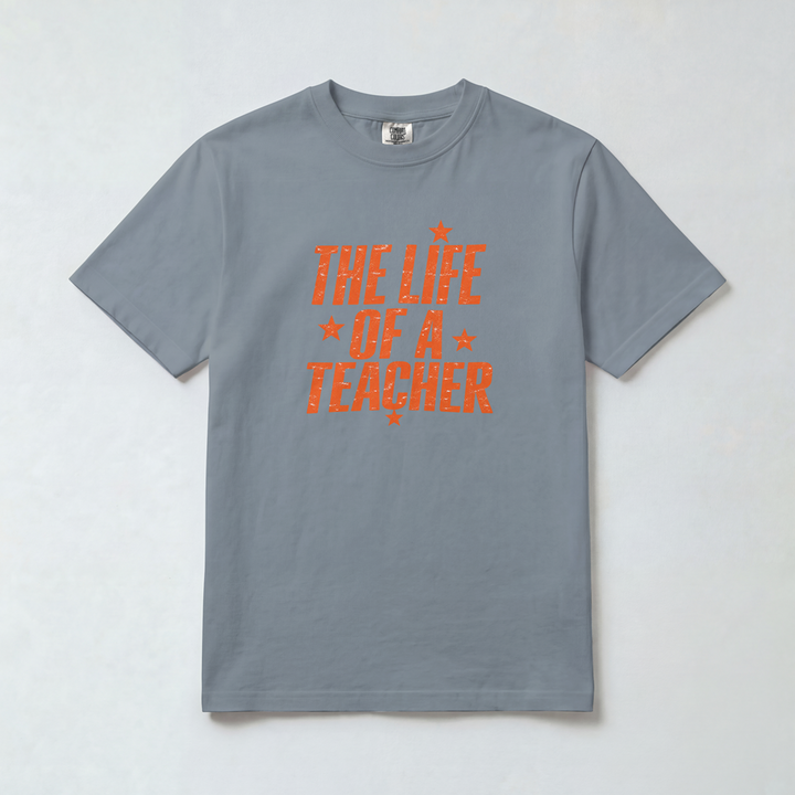 Life of a Teacher