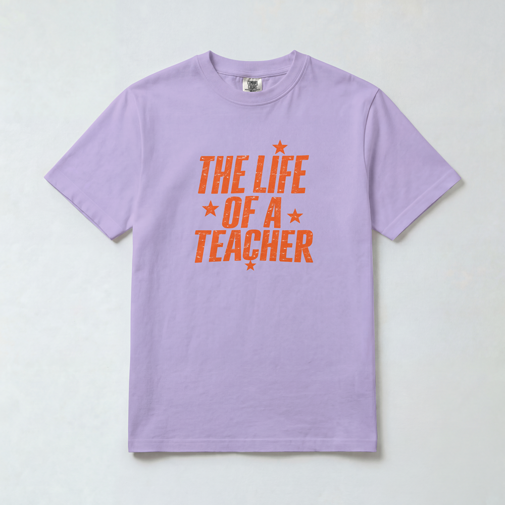 Life of a Teacher