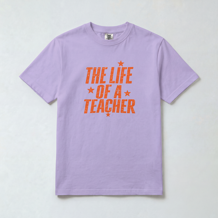 Life of a Teacher