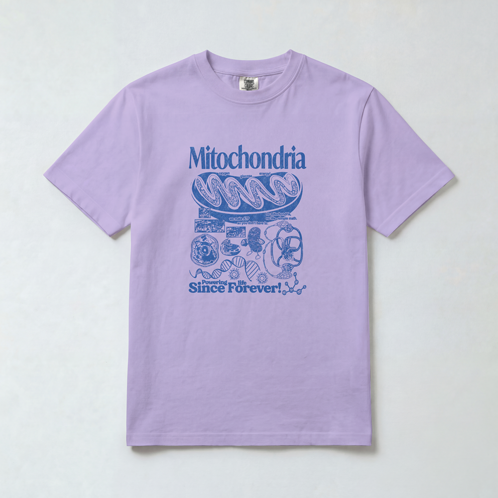 Mitochondria
