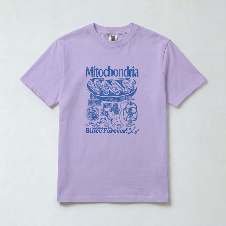 Mitochondria