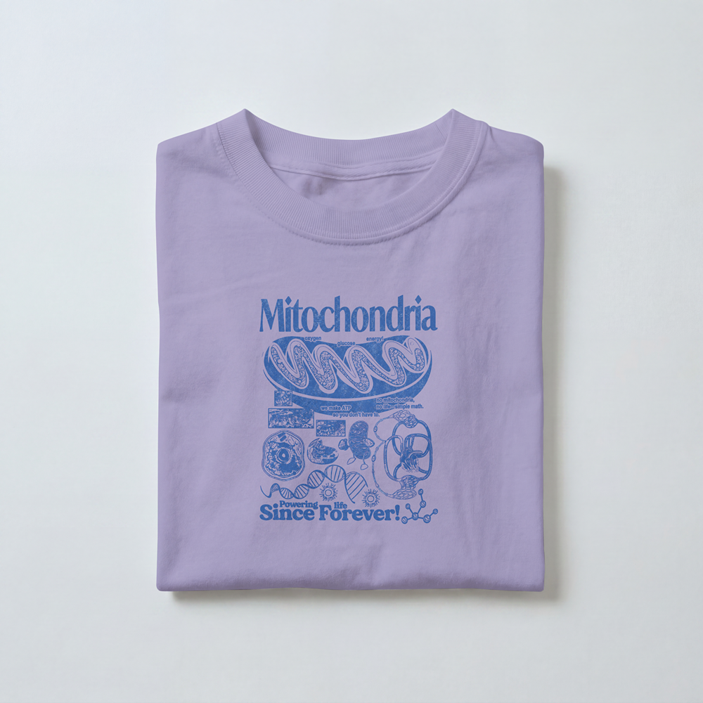 Mitochondria -  Toddler