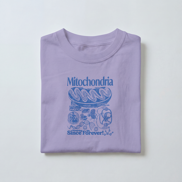 Mitochondria -  Toddler
