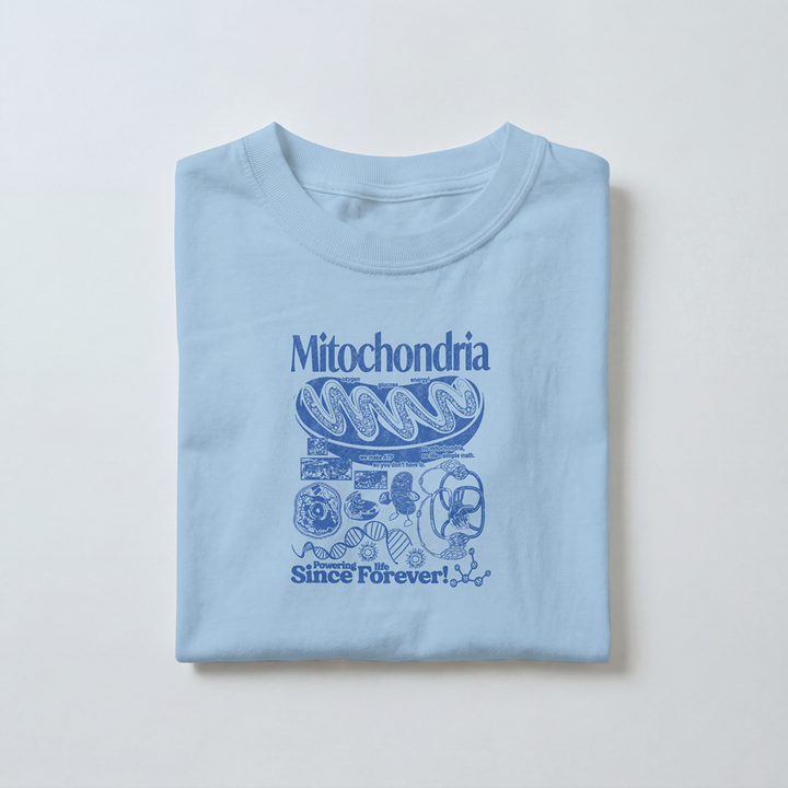 Mitochondria -  Toddler