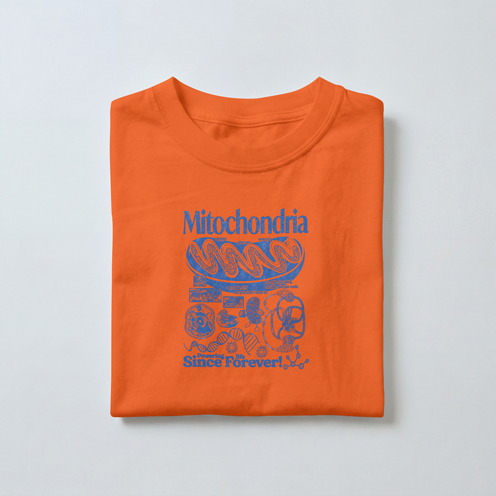 Mitochondria -  Toddler