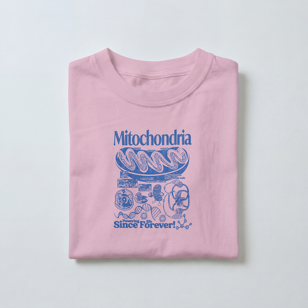 Mitochondria -  Toddler