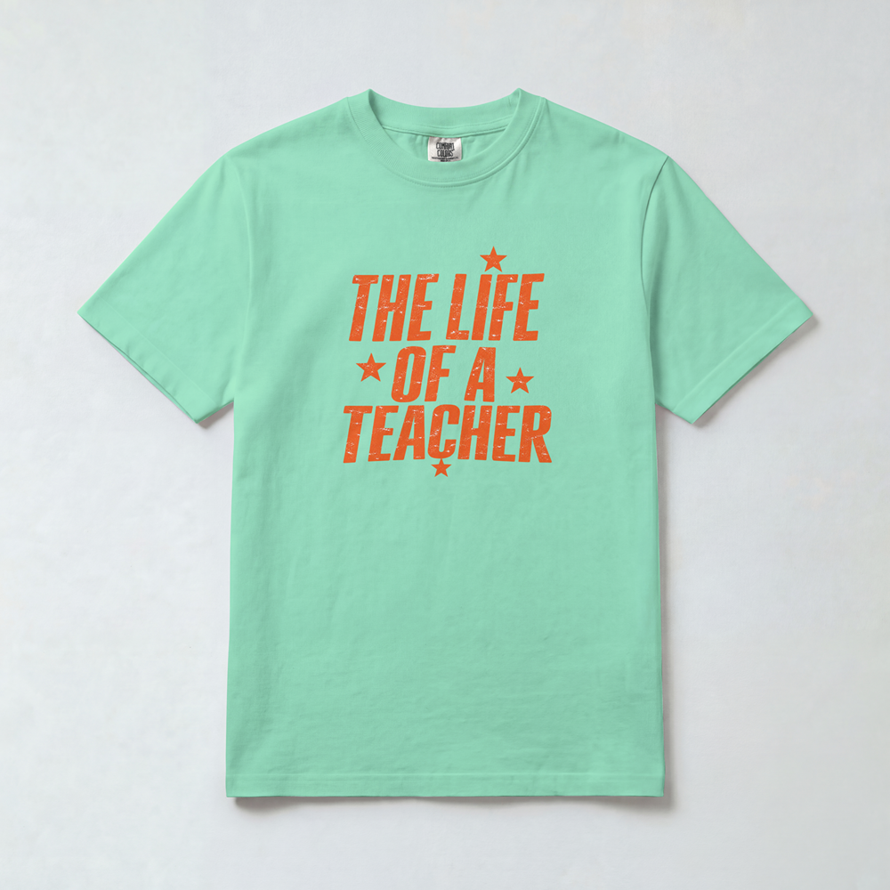 Life of a Teacher