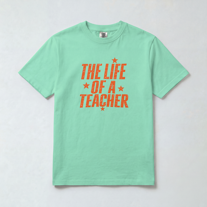 Life of a Teacher