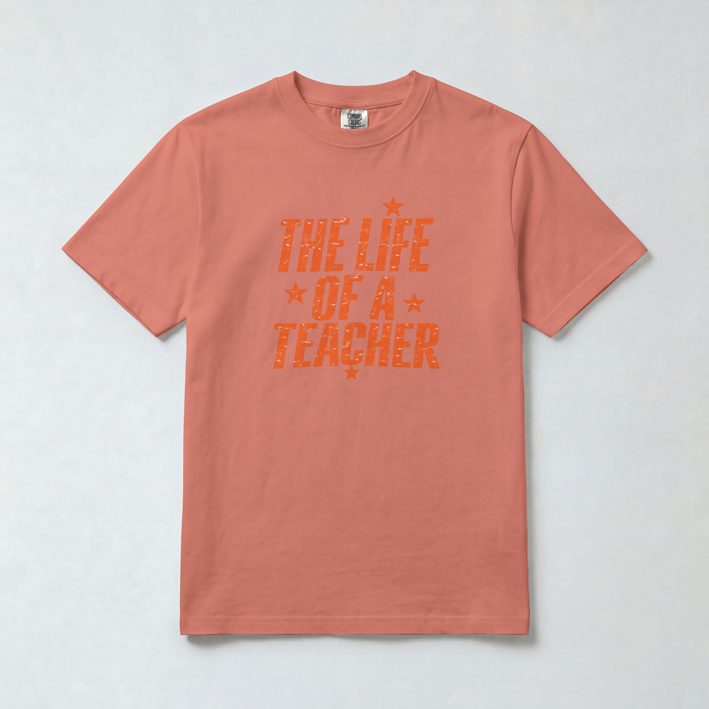 Life of a Teacher