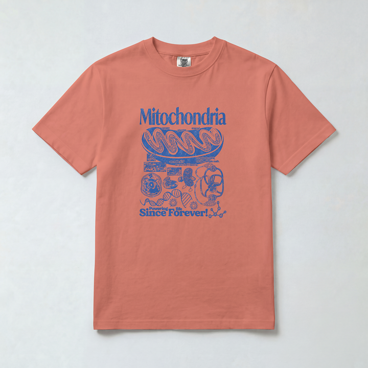 Mitochondria