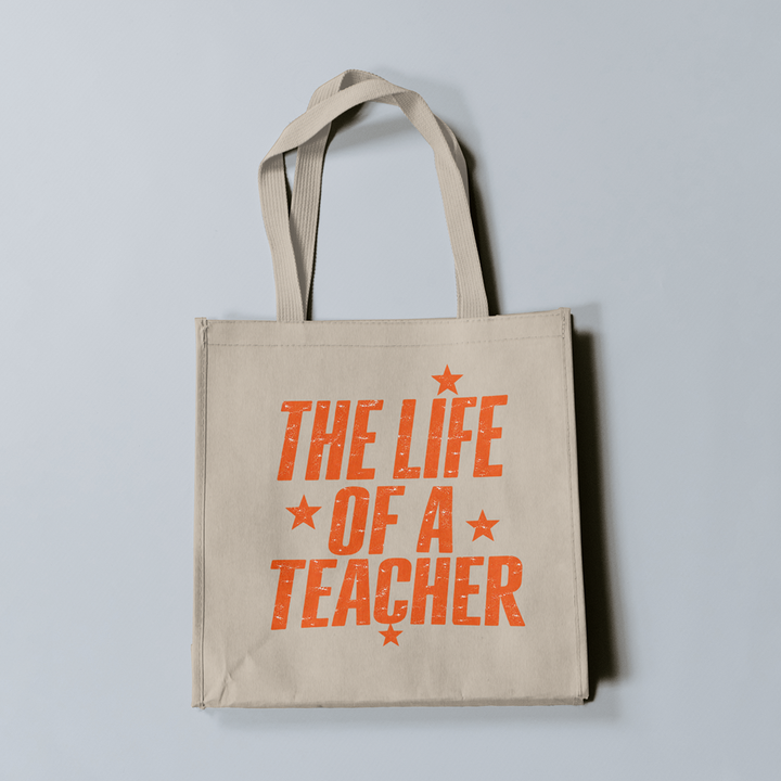 Life of a Teacher