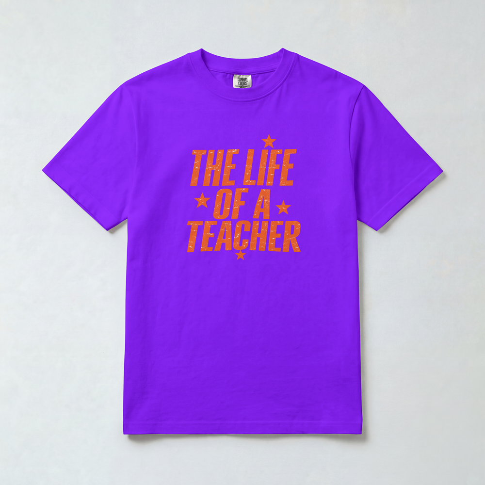 Life of a Teacher