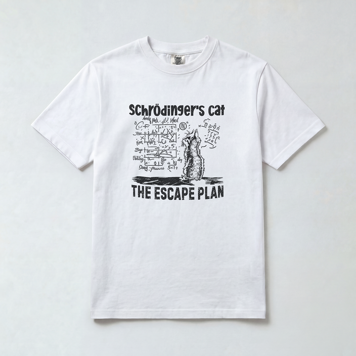 The Plan