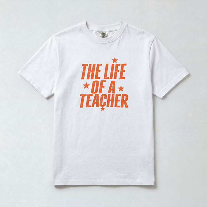 Life of a Teacher